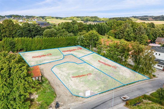estate