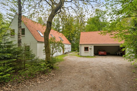 estate