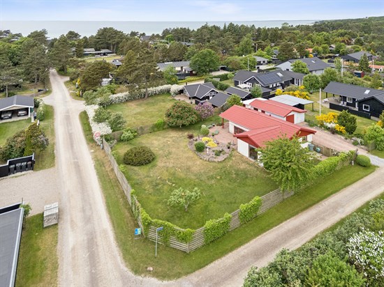 estate