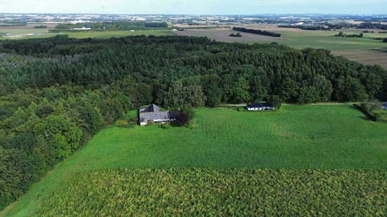 Skovhusevej 38, Eriknauer