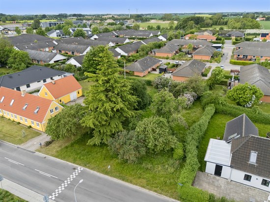 estate