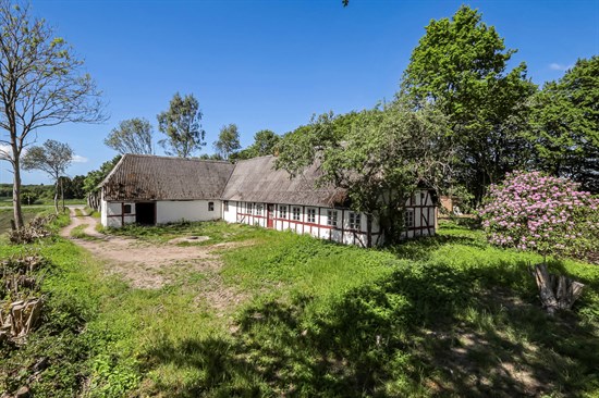 estate