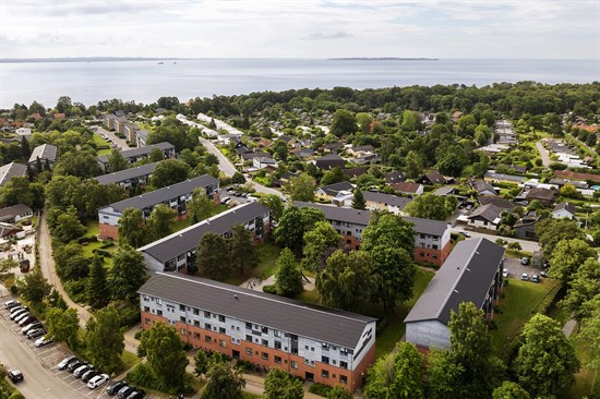 estate