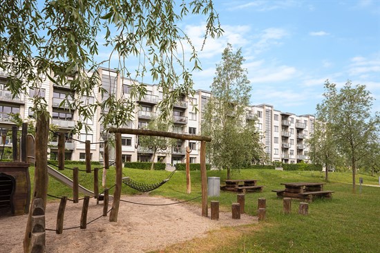 estate