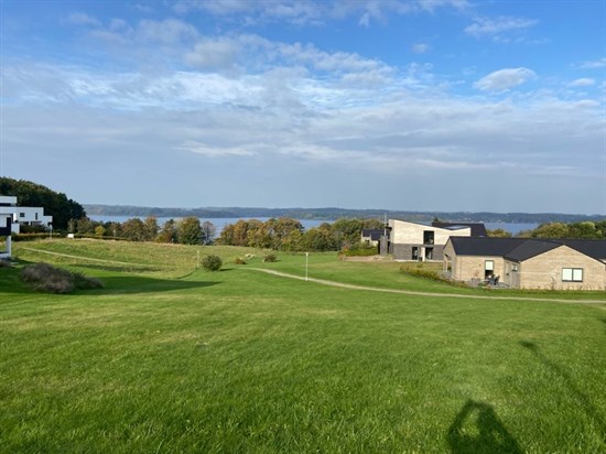 estate