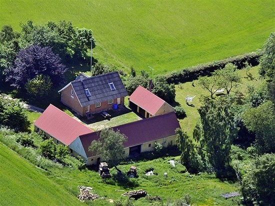 Bjerring Hede 51