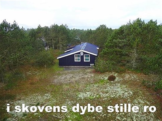 Sommerhuset på Blåmunkevej 42