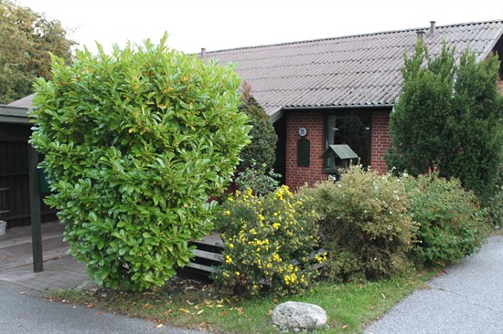 Fejøvej 21