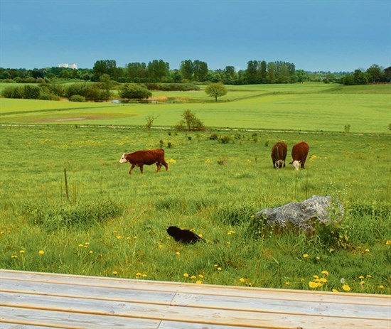 Byskovvej 42