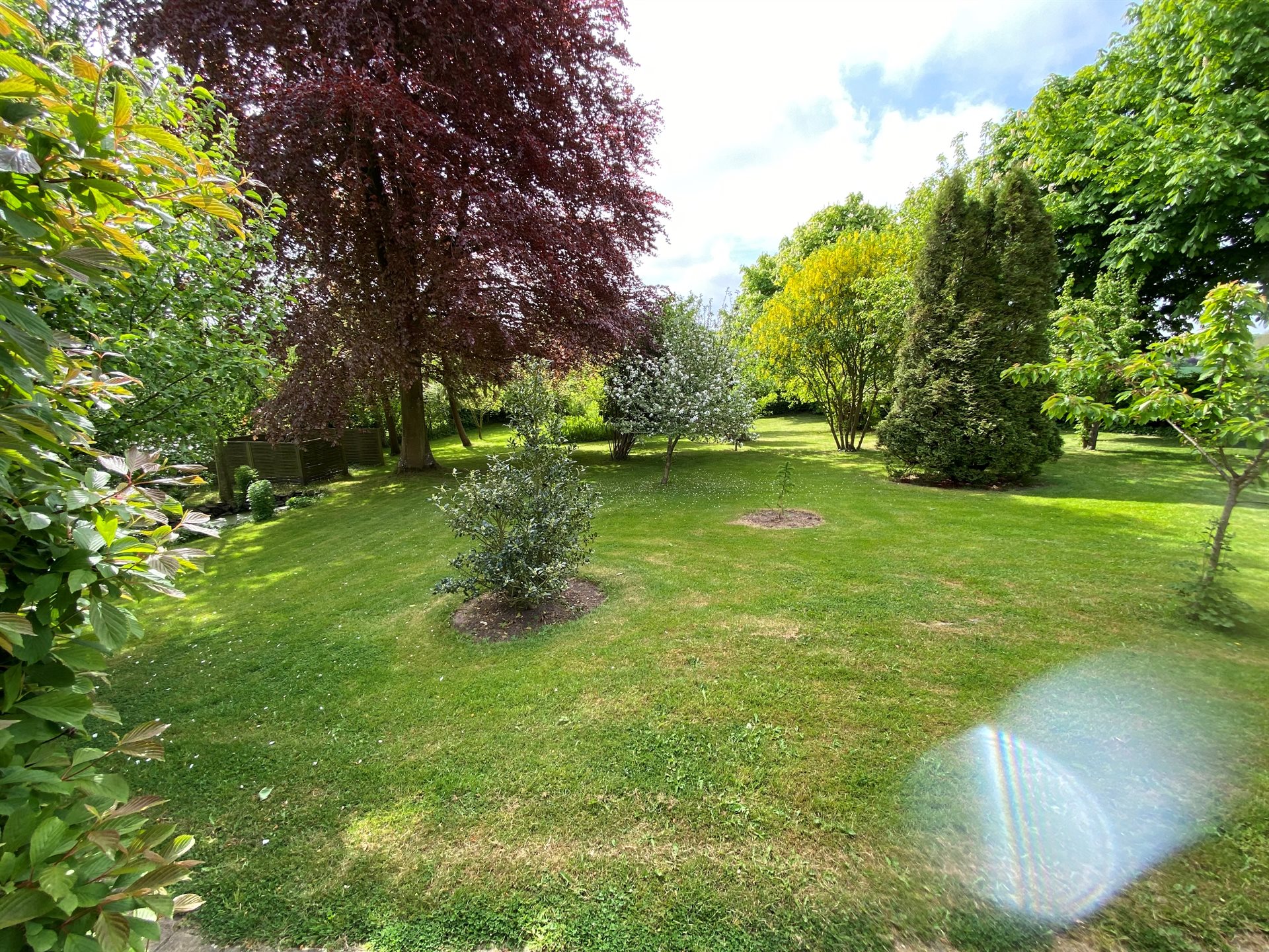 estate
