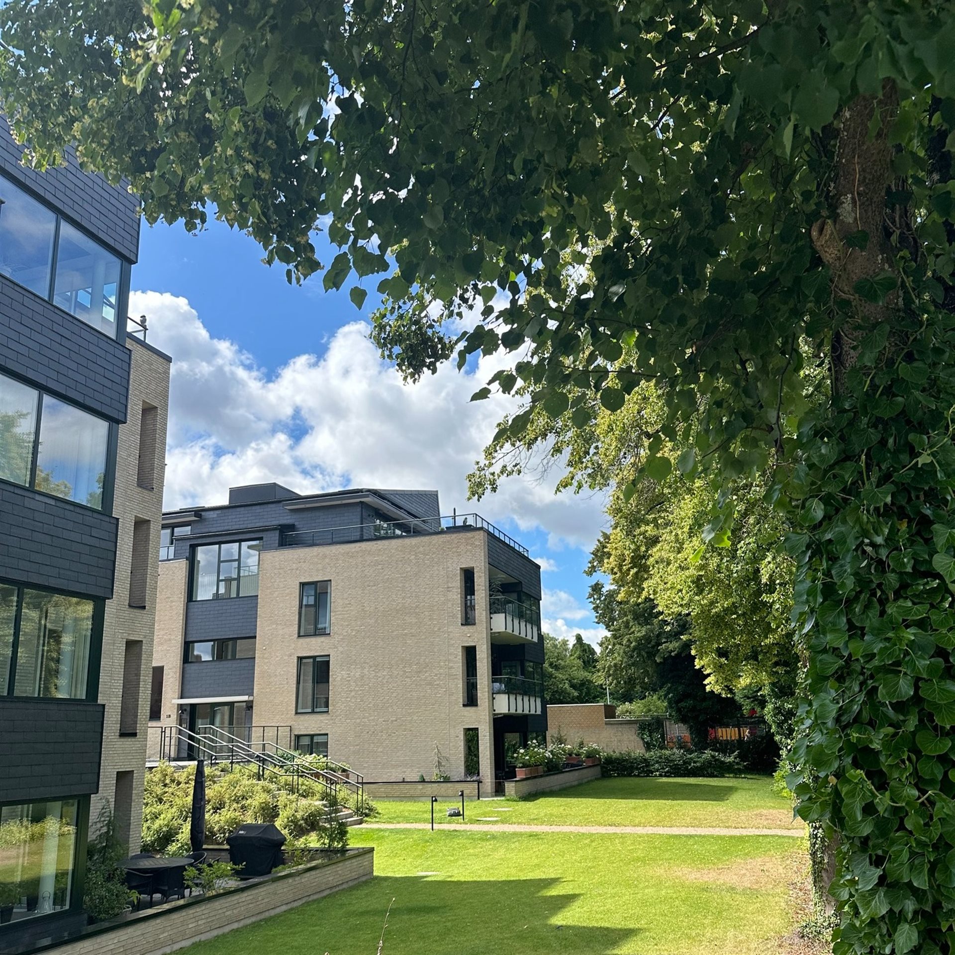 estate