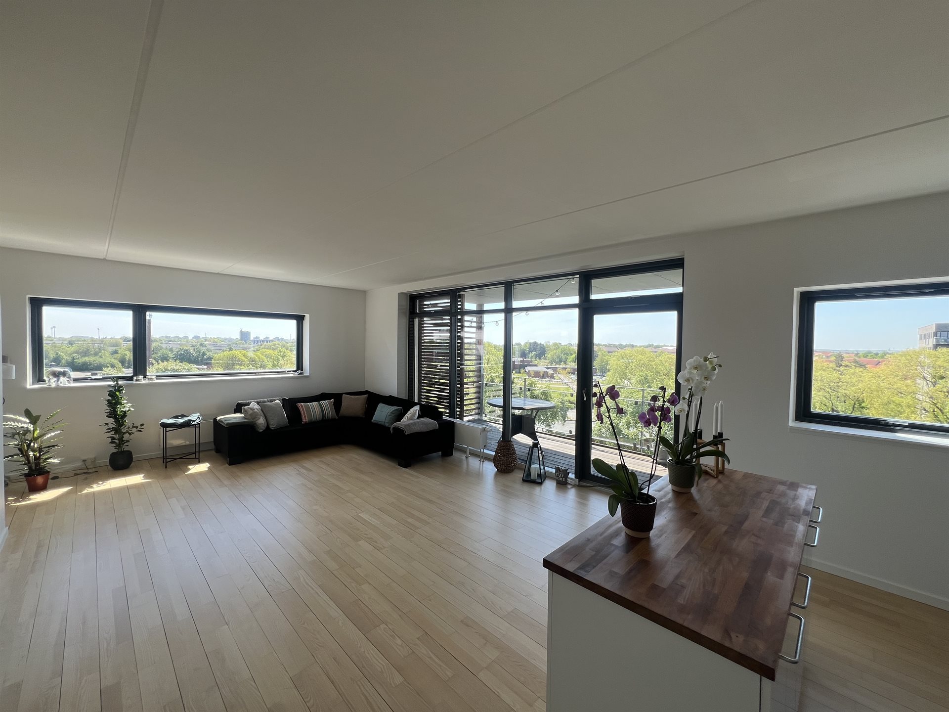 estate