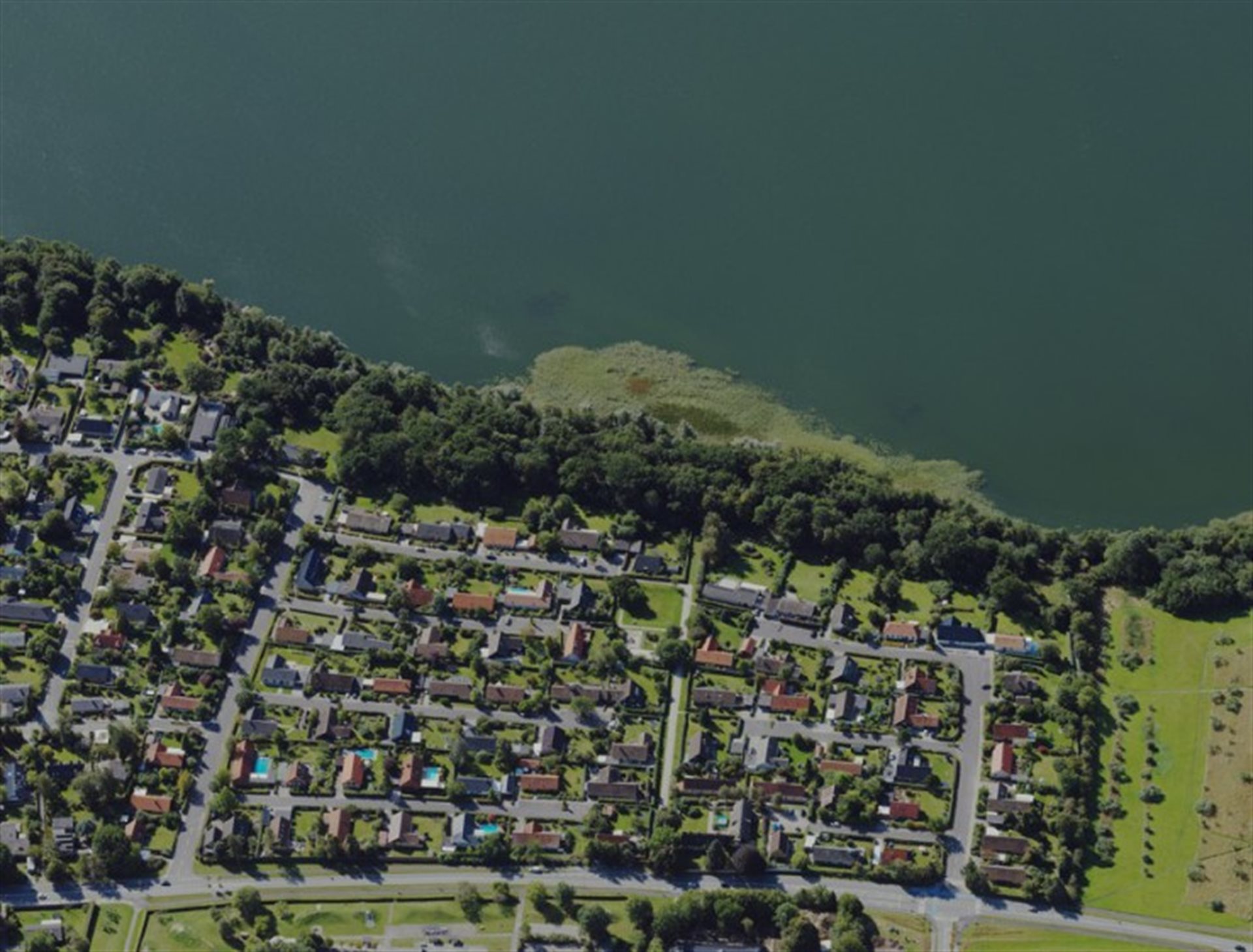 estate