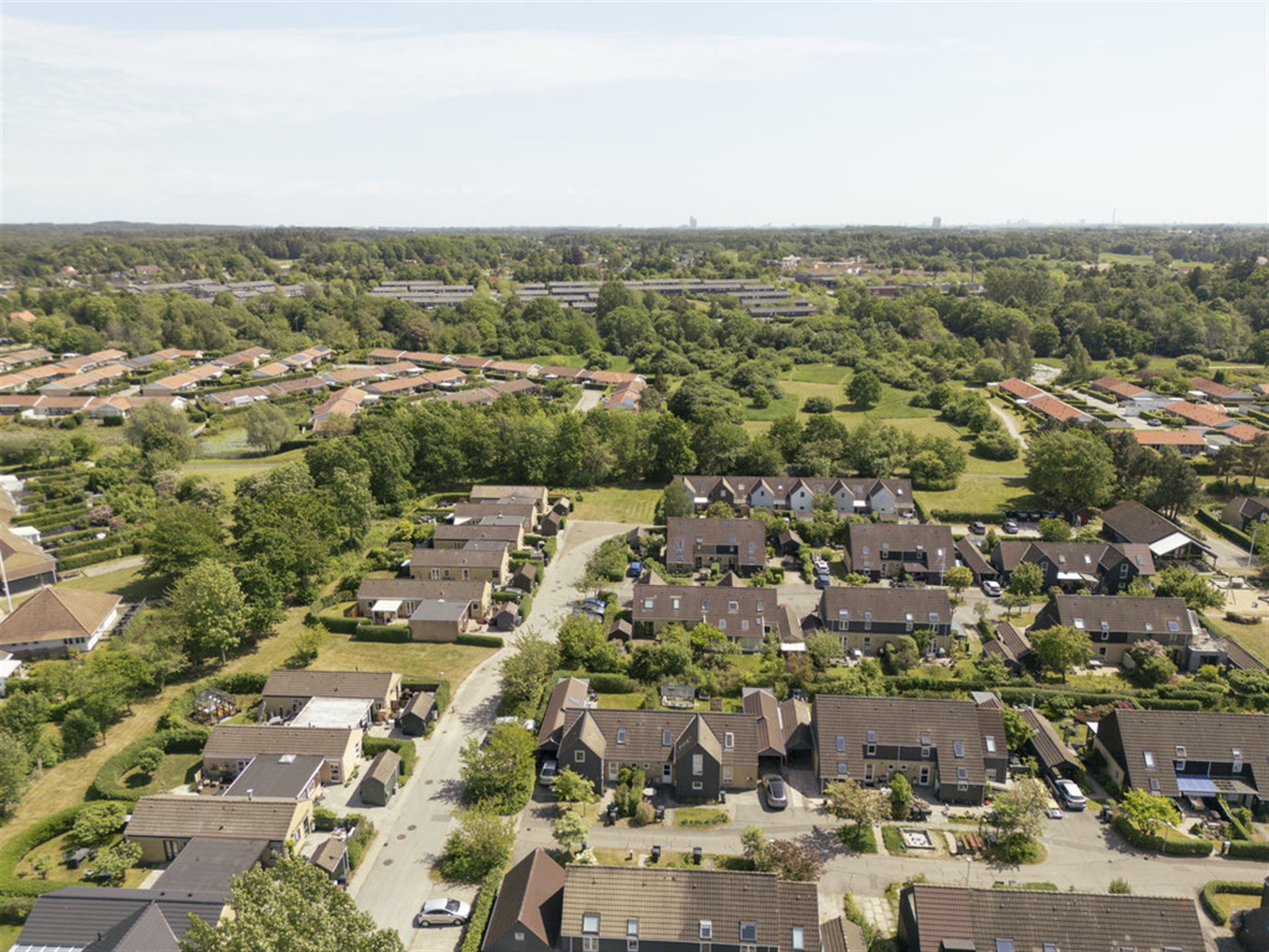estate