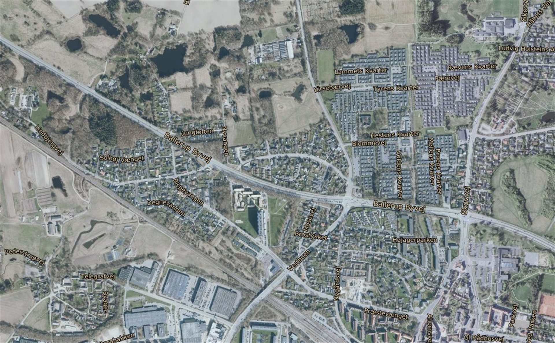 estate