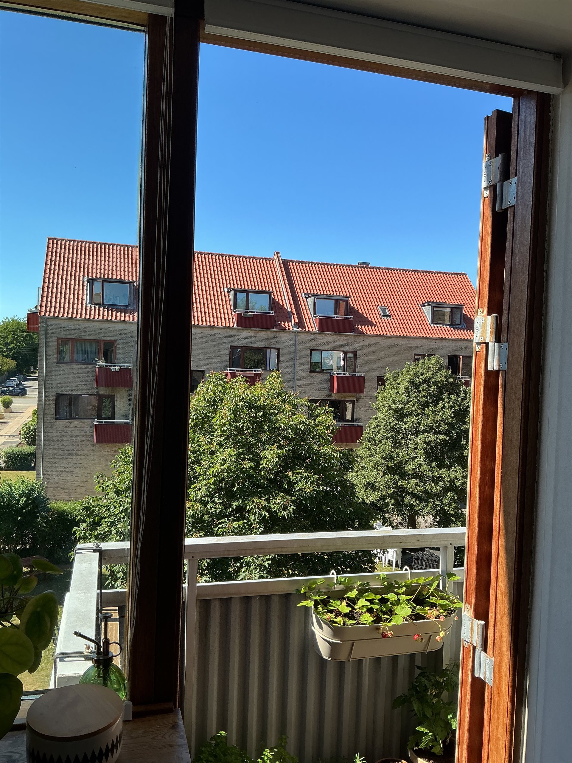 estate