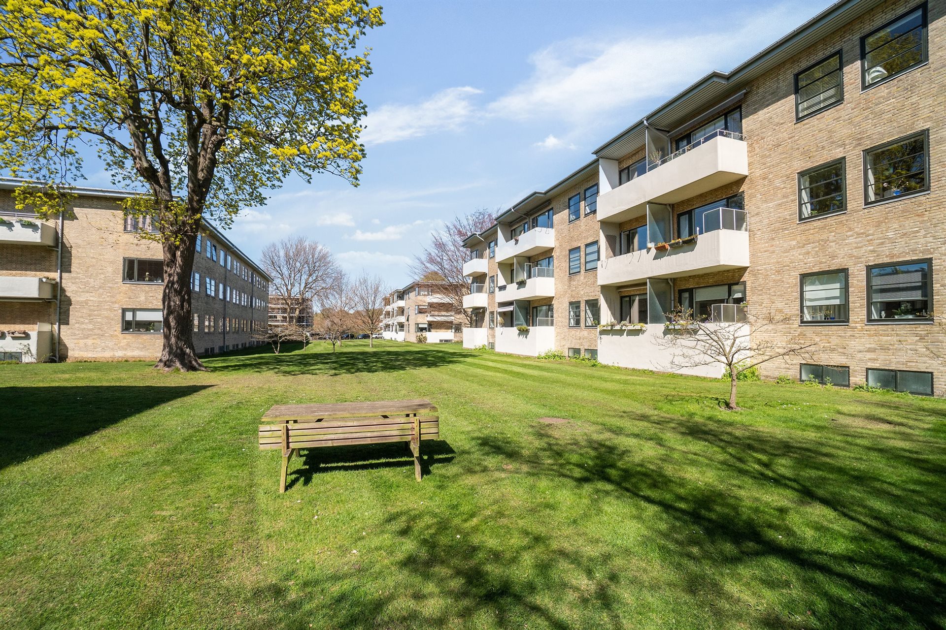 estate