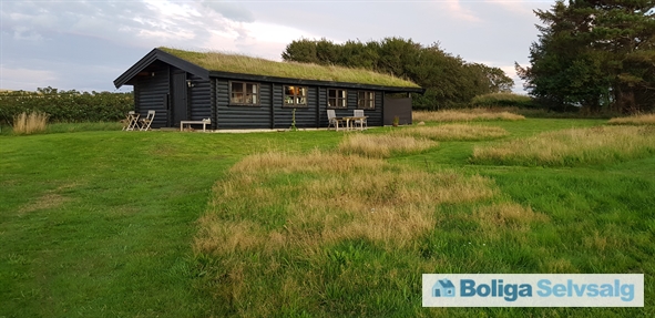 Vestre Strandvej 53A, Landborup, 8420 Knebel