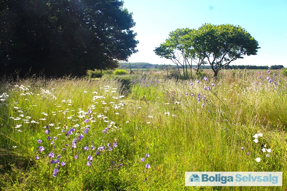 Lynge Byvej 32, 4180 Sorø