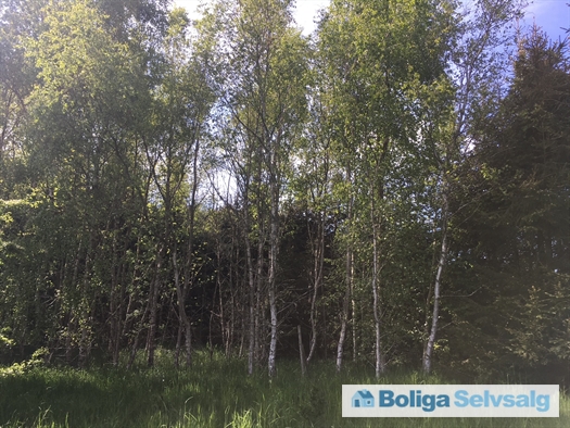 Smalby Hedevej 25,33,39, 9340 Asaa