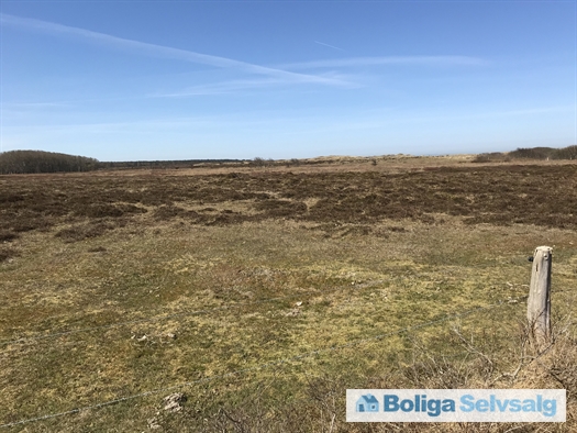 Den Store Jolle 8, 9940 Læsø