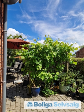 Åkandevej 56 ., 4600 Køge