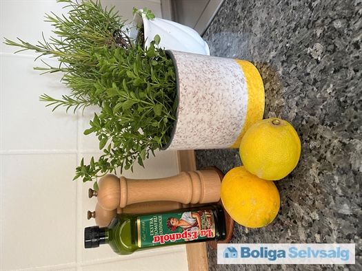 Bogøvej 41, 4500 Nykøbing Sj.