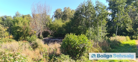 Skelvej 41, 3300 Frederiksværk