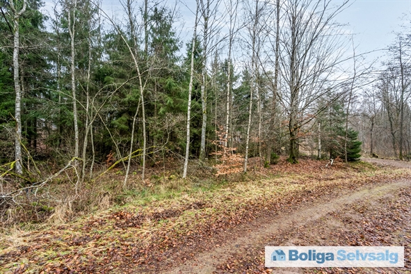 Bäverspåret 1 1, Stavaröd, Sverige