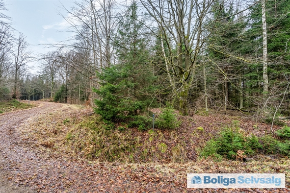 Bäverspåret 1 1, Stavaröd, Sverige