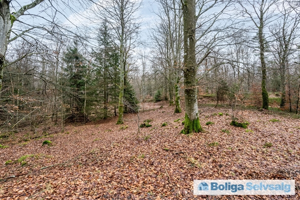 Bäverspåret 1 1, Stavaröd, Sverige