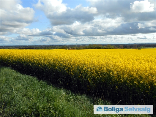 Fyrrevej 22, Lammefjorden, 4571 Grevinge