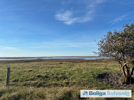 Skovvangen 50, Ellinge Lyng, 4573 Højby