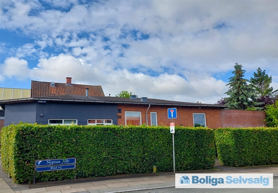 Neptun Alle 1, 2770 Kastrup