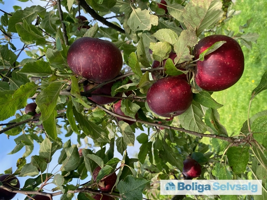 Dahliavej 52, 2610 Rødovre