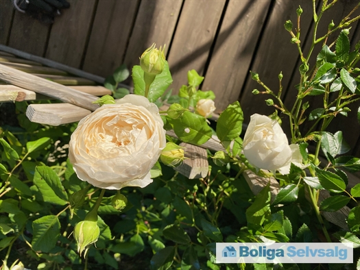 Dahliavej 52, 2610 Rødovre