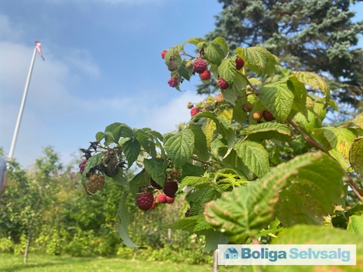 Dahliavej 52, 2610 Rødovre