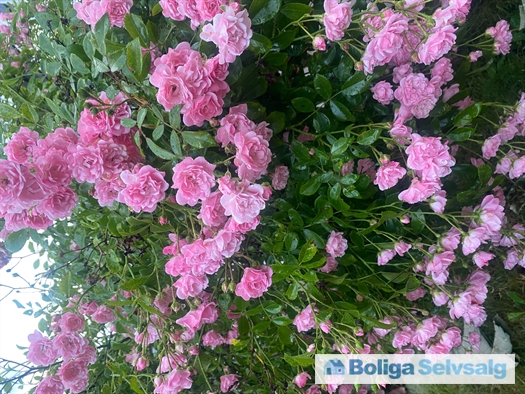 Dahliavej 52, 2610 Rødovre