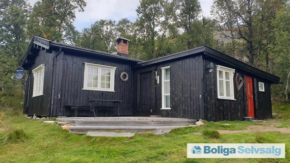 Holvik Vestre 5, 1., Rauland, Norge