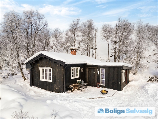 Holvik Vestre 5, 1., Rauland, Norge