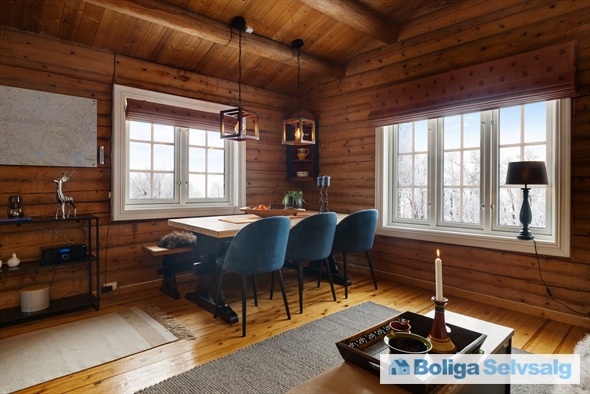 Holvik Vestre 5, 1., Rauland, Norge