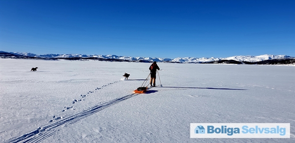 Holvik Vestre 5, 1., Rauland, Norge