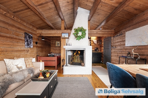 Holvik Vestre 5, 1., Rauland, Norge