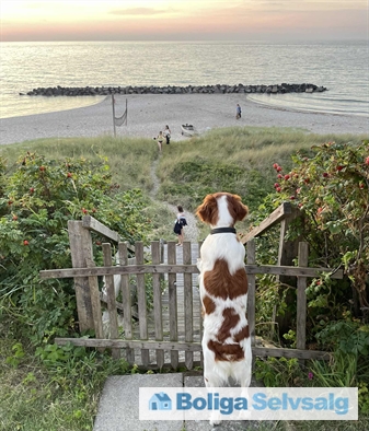 Hyllingebjergvej 56, 3360 Liseleje