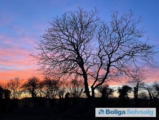 Trekanten 8, 3720 Aakirkeby