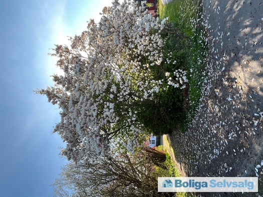 Trekanten 8, 3720 Aakirkeby