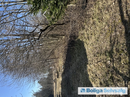 Vagtelvej 8, 9370 Hals