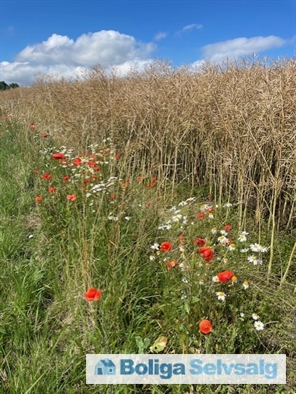 Tofthøjvej 9, 4305 Orø