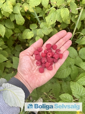 Lyngmosevej 11, 9900 Frederikshavn