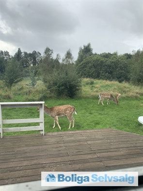 Rimmen 20, 9340 Asaa